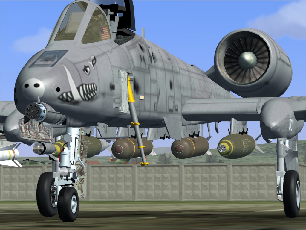 A-10-1.jpg