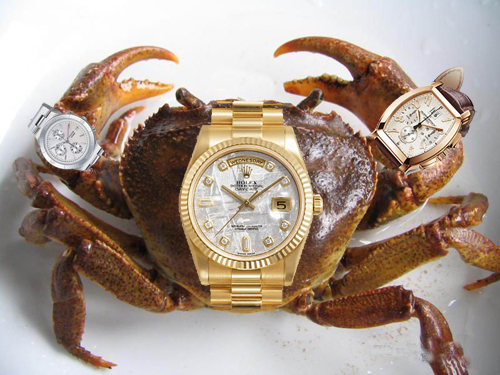 crab_watch.jpg