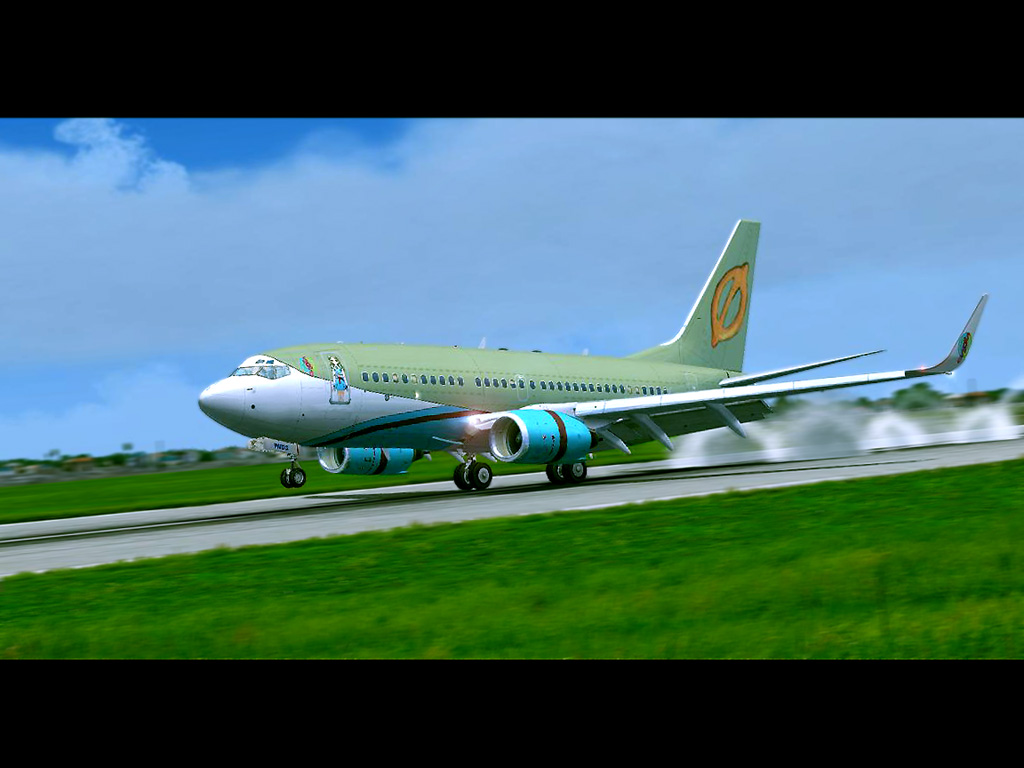 737LAND.jpg