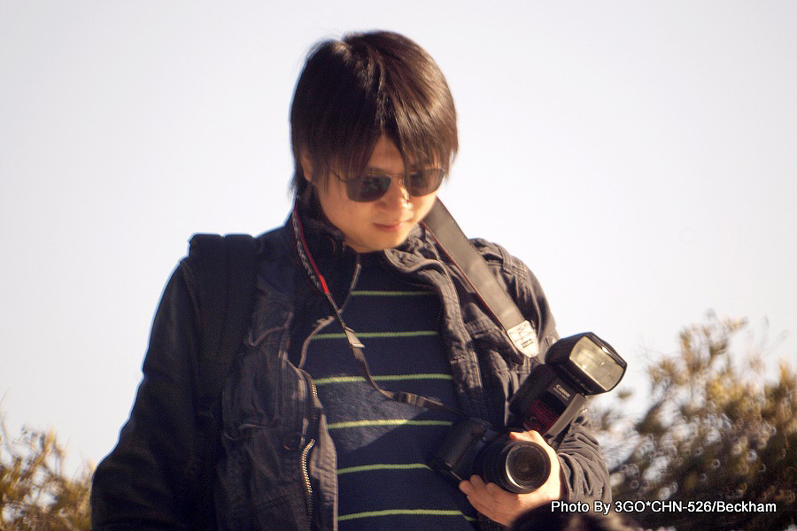 526�����ա�����