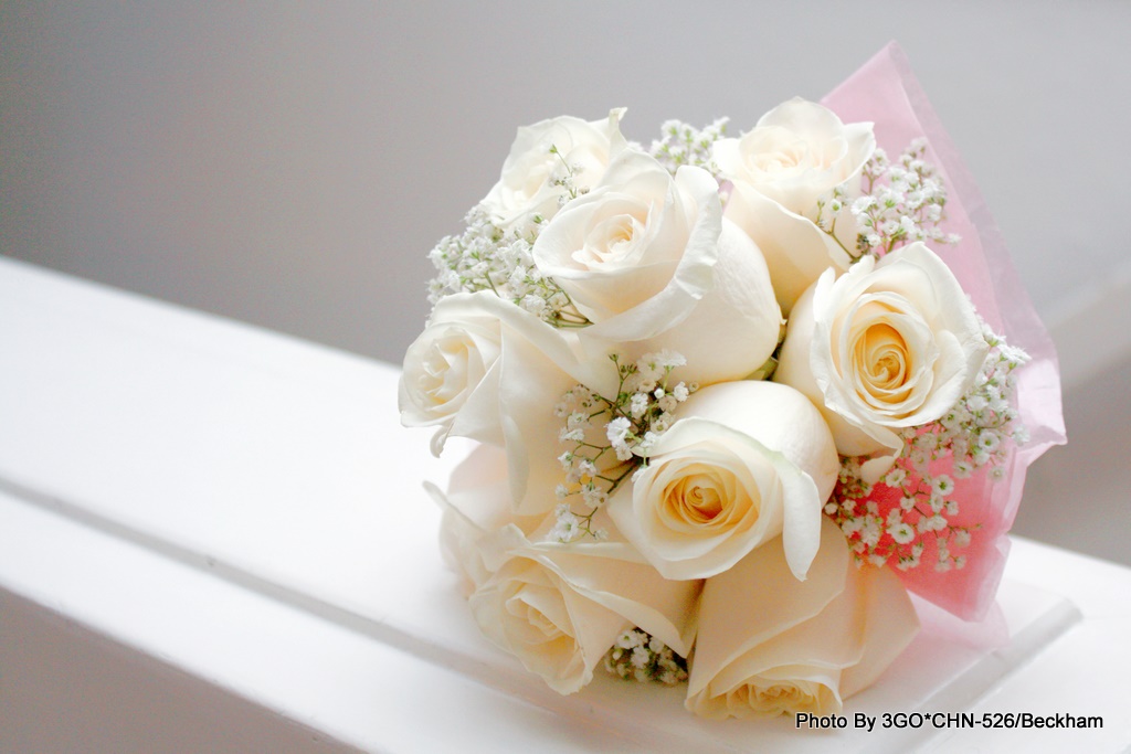 ��ɫ���������