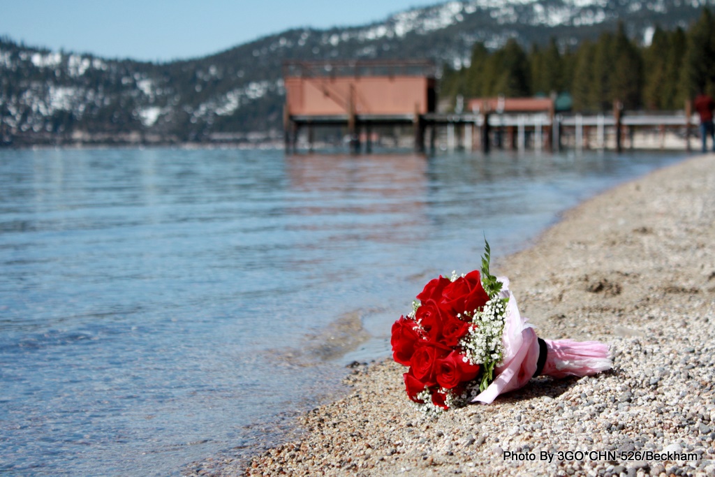 ���� - ��ɫ������