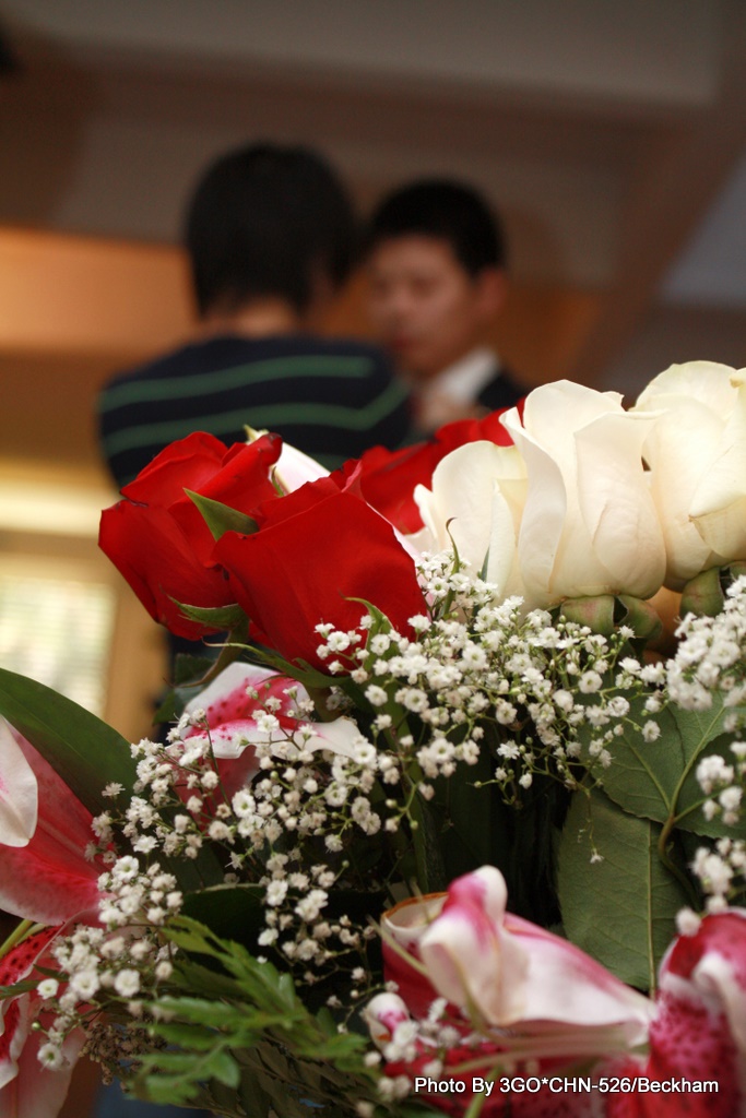 ��safeway�����������ʻ�