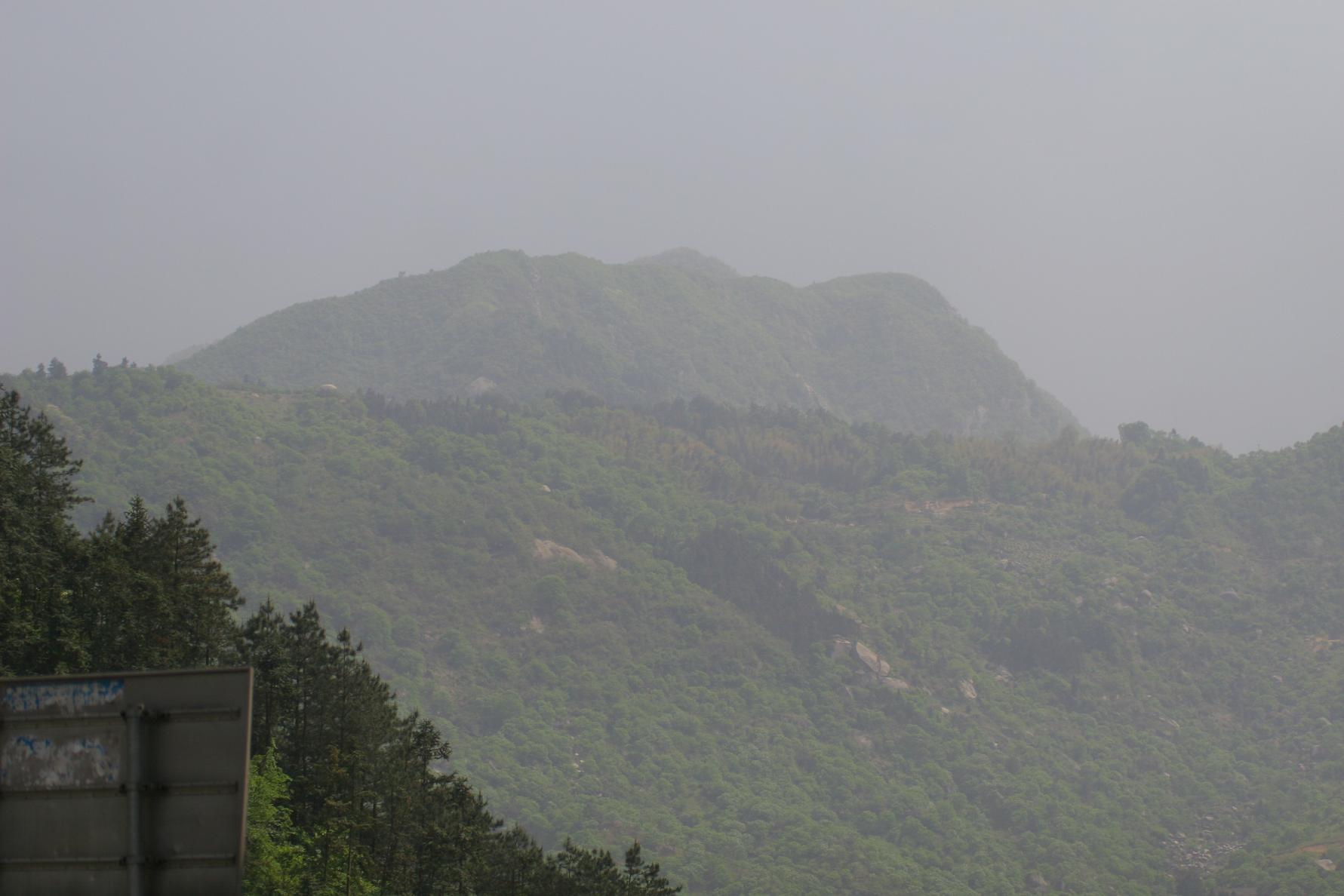 IMG_7854.JPG