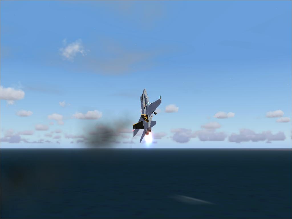 fs9 2010-06-10 17-21-04-68.jpg