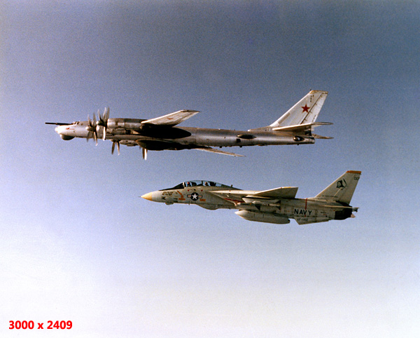 Tu-95_escorted_by_an_F-14.jpg
