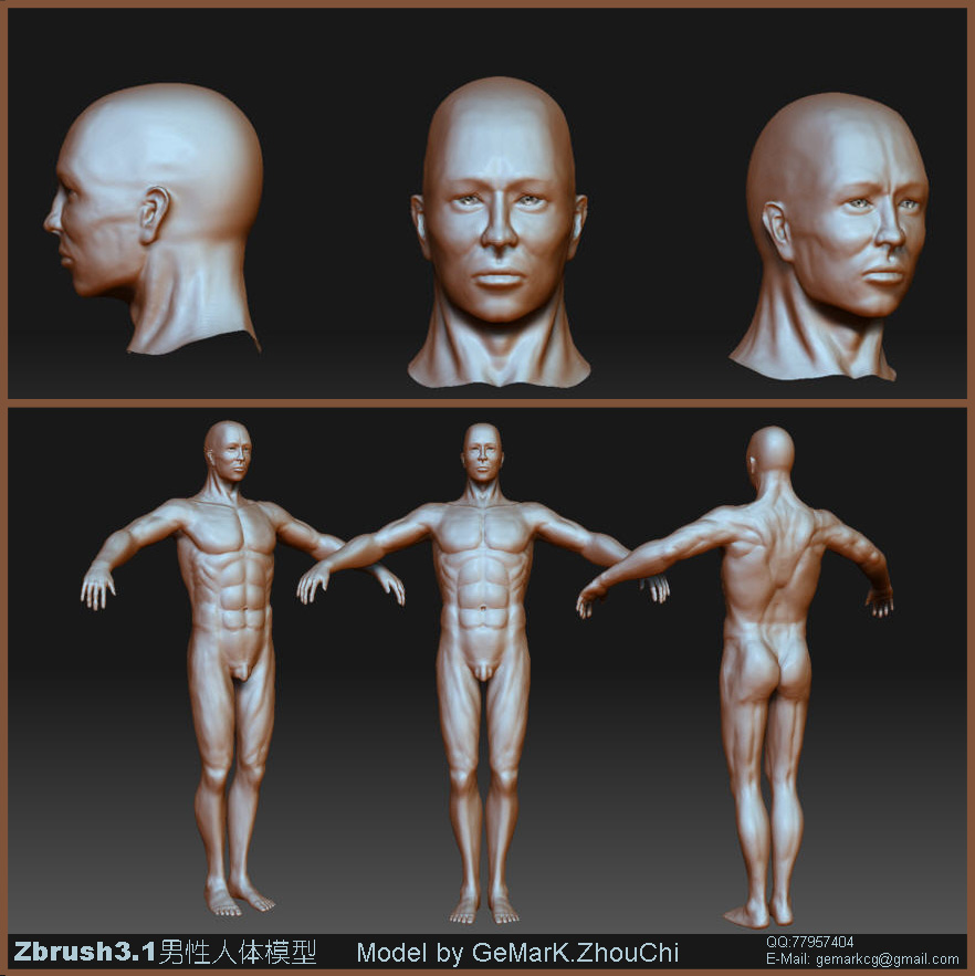 humanbody.jpg