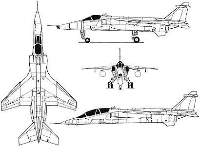 JAGUAR(Y).jpg