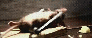 1007112047b6953713a1593757.gif